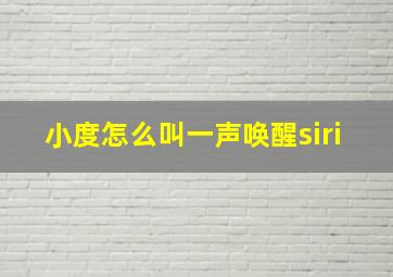 小度怎么叫一声唤醒siri