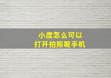 小度怎么可以打开拍照呢手机