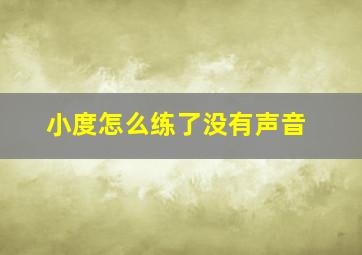 小度怎么练了没有声音