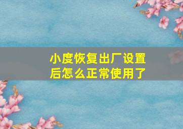 小度恢复出厂设置后怎么正常使用了