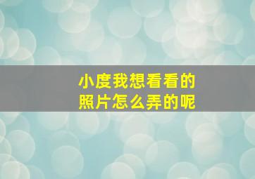 小度我想看看的照片怎么弄的呢