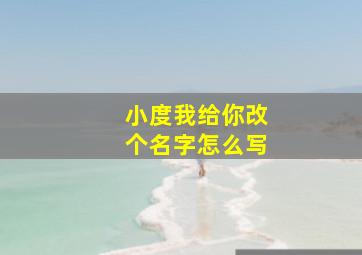 小度我给你改个名字怎么写