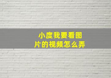 小度我要看图片的视频怎么弄