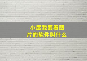 小度我要看图片的软件叫什么