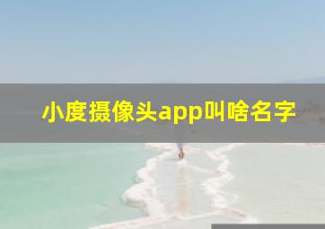 小度摄像头app叫啥名字