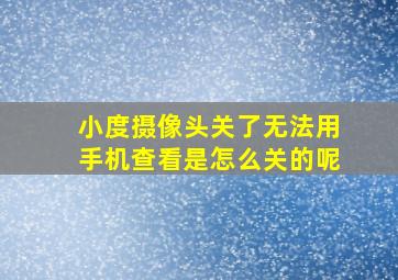 小度摄像头关了无法用手机查看是怎么关的呢