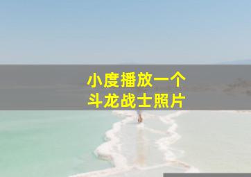 小度播放一个斗龙战士照片