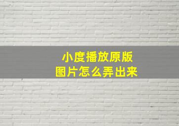 小度播放原版图片怎么弄出来