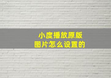 小度播放原版图片怎么设置的