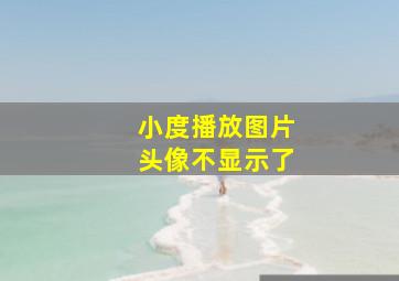 小度播放图片头像不显示了