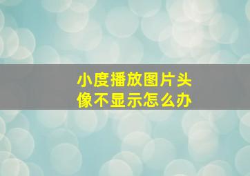 小度播放图片头像不显示怎么办