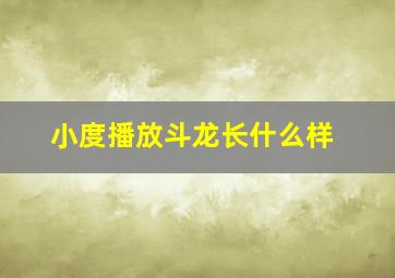 小度播放斗龙长什么样