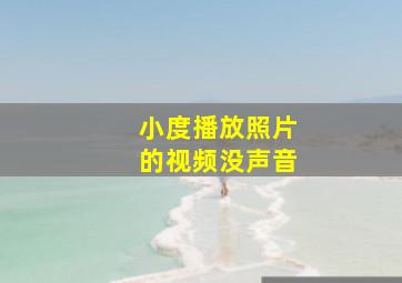 小度播放照片的视频没声音