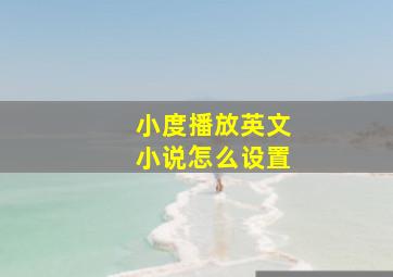 小度播放英文小说怎么设置