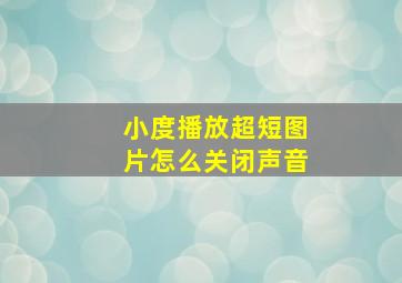 小度播放超短图片怎么关闭声音