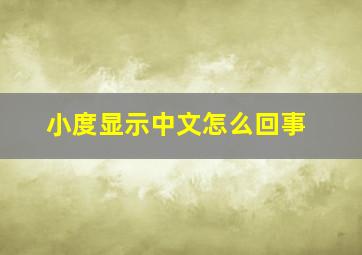 小度显示中文怎么回事