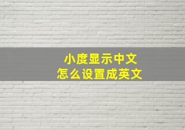 小度显示中文怎么设置成英文