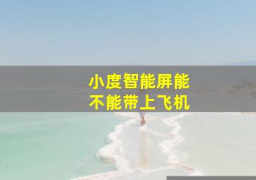 小度智能屏能不能带上飞机