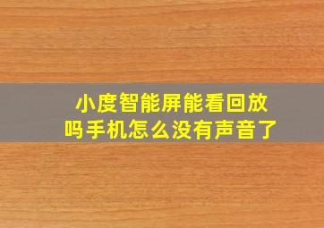 小度智能屏能看回放吗手机怎么没有声音了