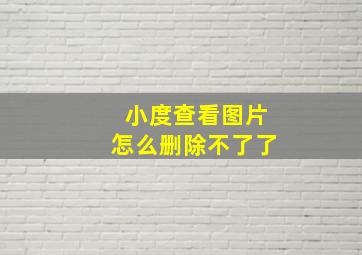 小度查看图片怎么删除不了了