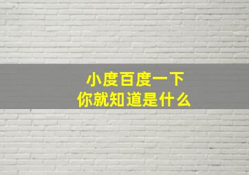 小度百度一下你就知道是什么