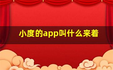 小度的app叫什么来着