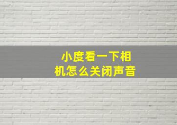 小度看一下相机怎么关闭声音