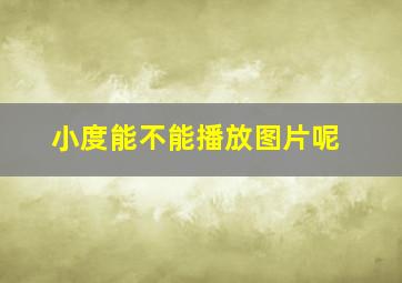 小度能不能播放图片呢