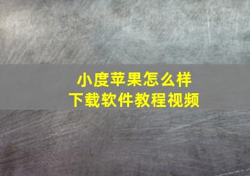 小度苹果怎么样下载软件教程视频