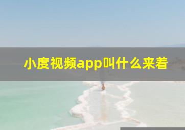 小度视频app叫什么来着