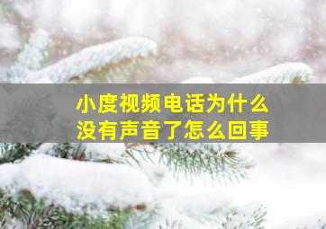 小度视频电话为什么没有声音了怎么回事