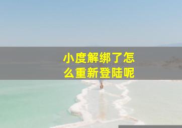 小度解绑了怎么重新登陆呢