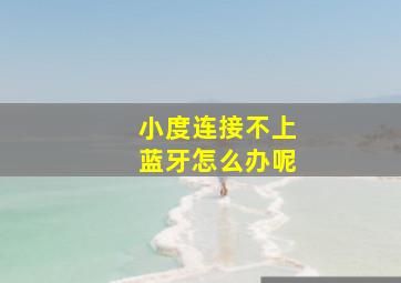 小度连接不上蓝牙怎么办呢