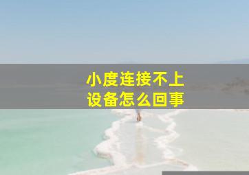 小度连接不上设备怎么回事