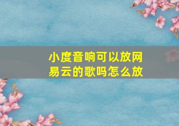 小度音响可以放网易云的歌吗怎么放