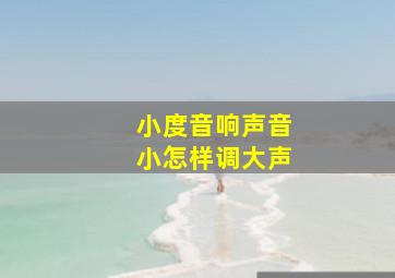 小度音响声音小怎样调大声