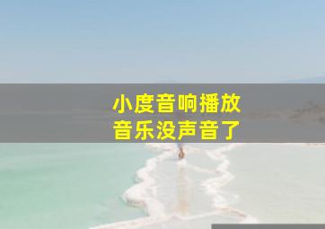 小度音响播放音乐没声音了