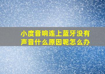 小度音响连上蓝牙没有声音什么原因呢怎么办