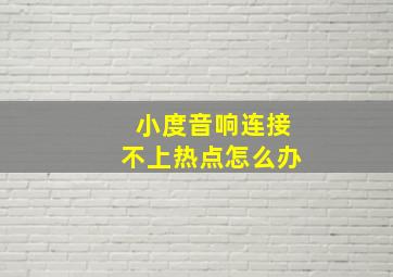 小度音响连接不上热点怎么办