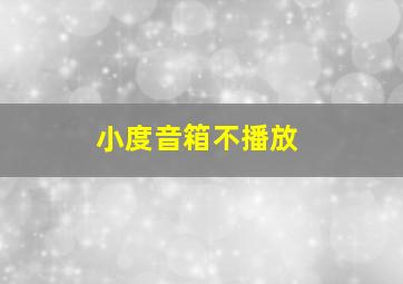 小度音箱不播放