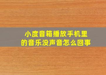 小度音箱播放手机里的音乐没声音怎么回事