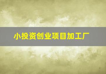 小投资创业项目加工厂