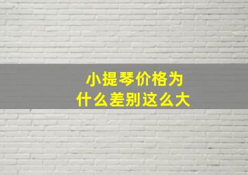 小提琴价格为什么差别这么大