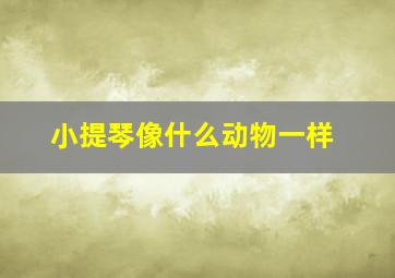 小提琴像什么动物一样