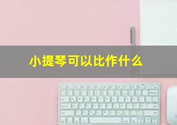 小提琴可以比作什么