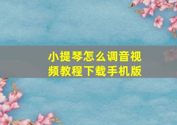 小提琴怎么调音视频教程下载手机版