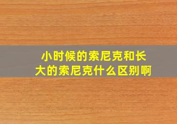 小时候的索尼克和长大的索尼克什么区别啊