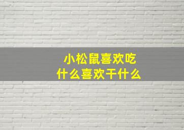 小松鼠喜欢吃什么喜欢干什么