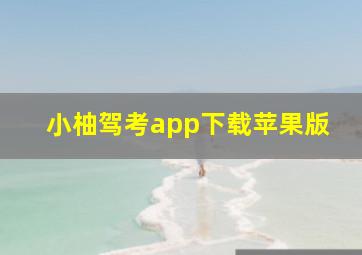 小柚驾考app下载苹果版