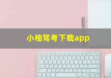 小柚驾考下载app